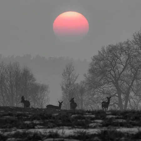 Country house Poganty - Maly *