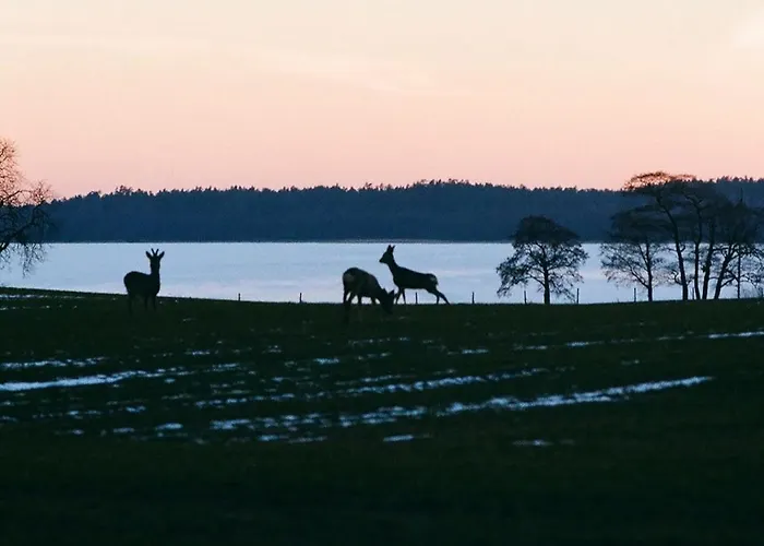 Country house Poganty - Maly *